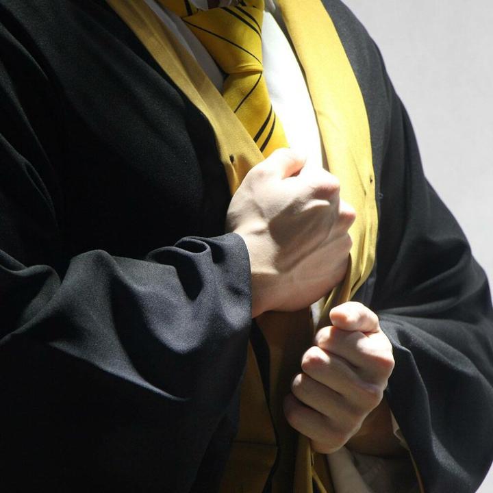 Actual product image Cinereplicas Harry Potter: Hufflepuff (M)