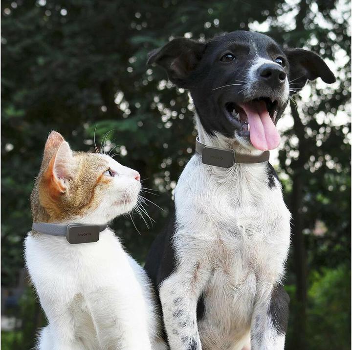 Actual product image Invoxia Pet GPS Tracker (Dog, Cat, General)