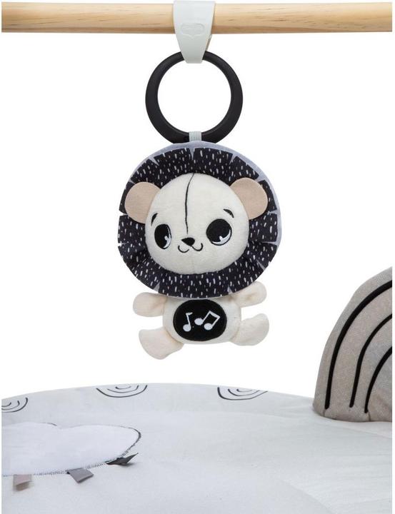 Actual product image Tiny Love Luxe Gymini