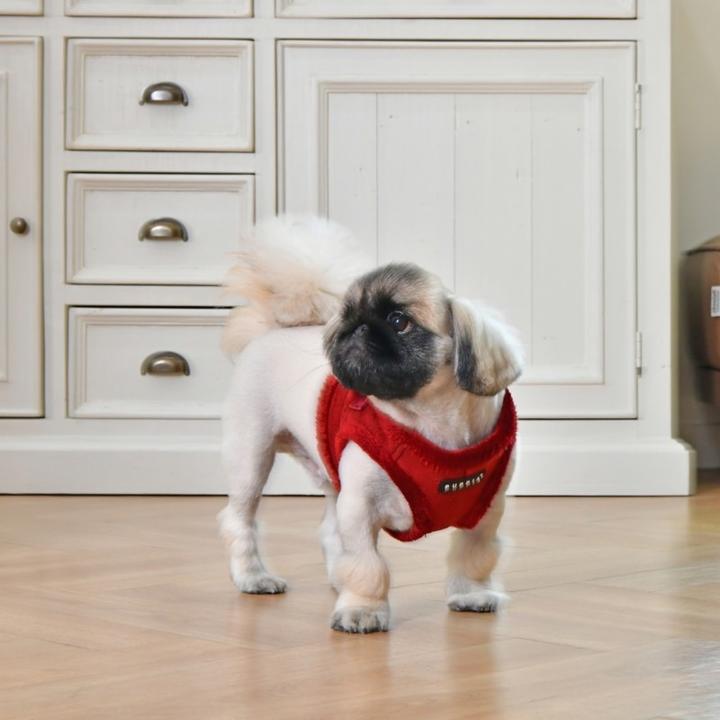 Image du produit Puppia Terry B harnais (S, Chien)