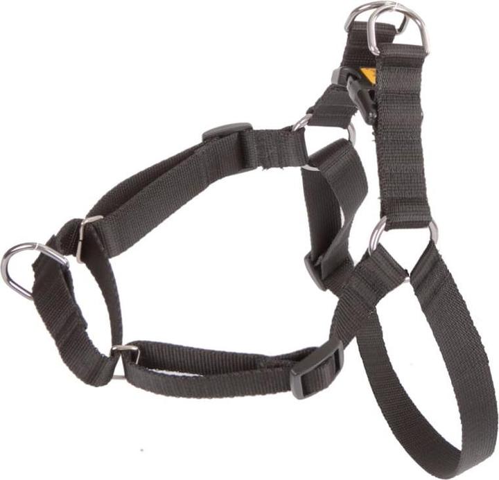 Actual product image Red Dingo DINGO Easy Walk - Dog harness - 95-125 cm (Dog, General)