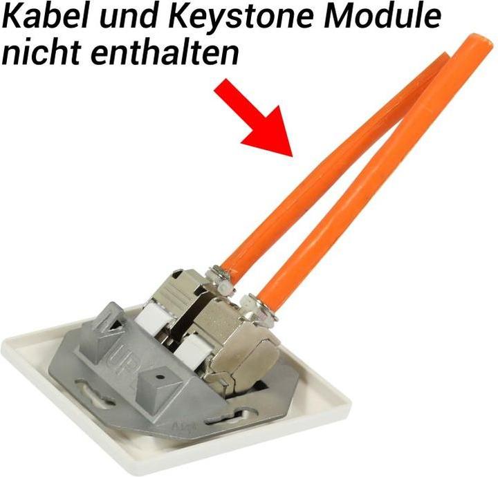 Immagine prodotto Synergy 21 Keystone, supporto per moduli, scatole da incasso per moduli 2xTP, bianco puro, cornice esterna