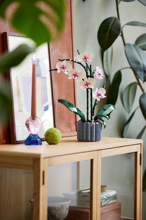 Produktbild LEGO Orchidee (10311, LEGO Botanical)