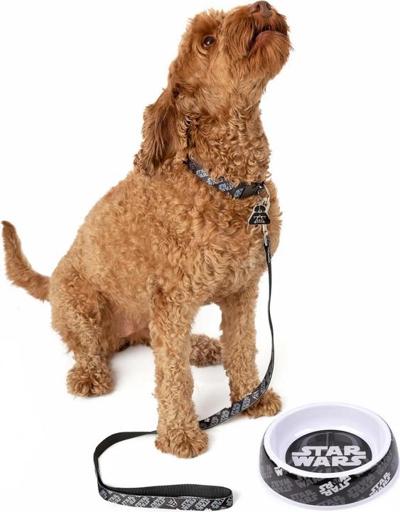 Actual product image Star Wars Dog Collar Set (M, Dog, General)