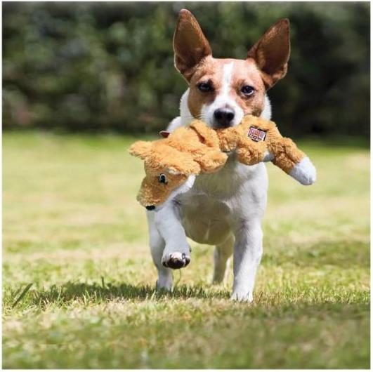 Produktbild KONG Scrunch Knots Fox (Plüschspielzeug Hund)