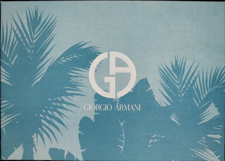 Giorgio Armani Acqua Di Gio Eau De Toilette 100ml (Eau de Toilette, 100 ml)