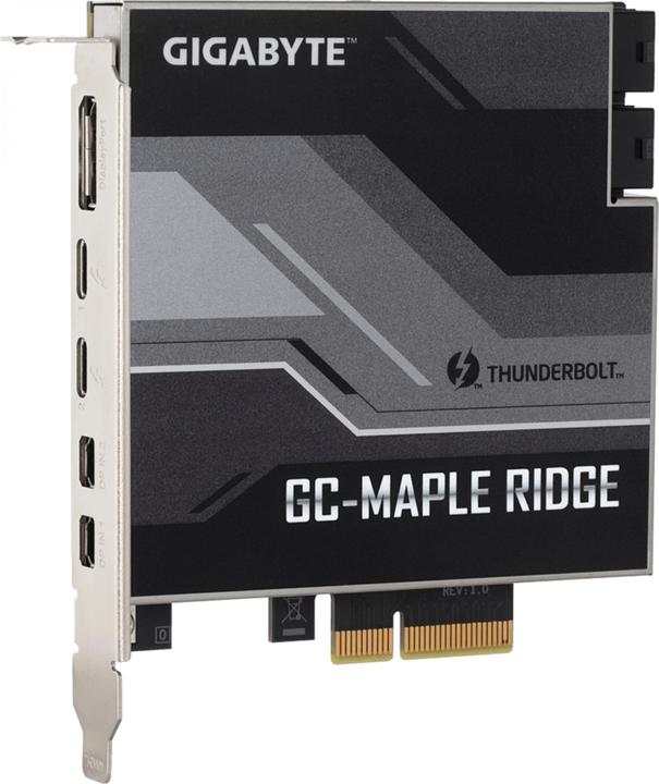 Actual product image Gigabyte GC-Maple Ridge (PCIe)