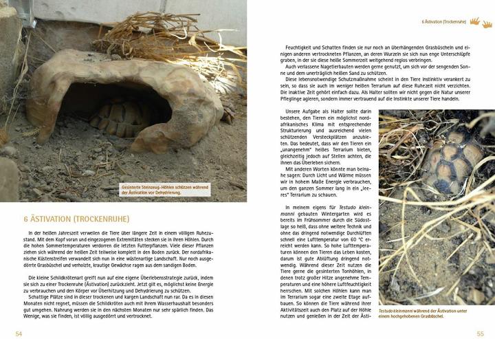 Produktbild Testudo kleinmanni (Deutsch, Christine Dworschak, 2018)
