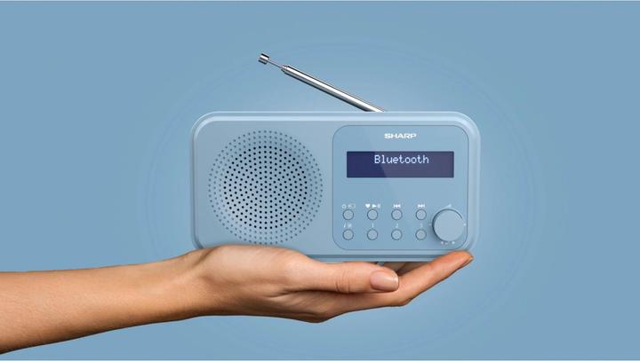 Actual product image Sharp DR-P420 (DAB, FM, DAB+, Bluetooth)