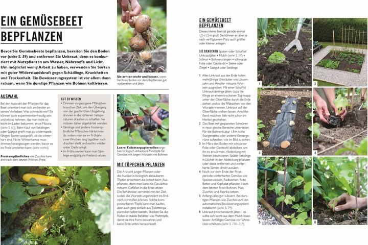 Produktbild Grünes Gartenwissen. Gärtnern mit wenig Aufwand (Deutsch, Zia Allaway, DK Verlag, Reinhard Ferstl, 2024)