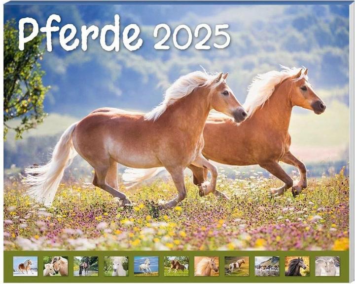 Immagine prodotto Calendario per cavalli confezione 2025, 9 pezzi (Tedesco)