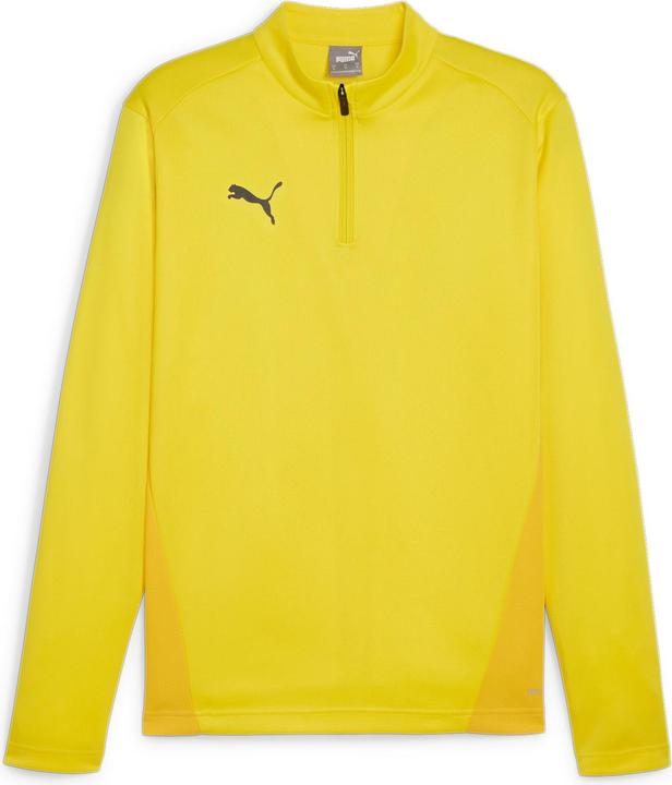 Puma teamGOAL Training 1/4 Zip Top