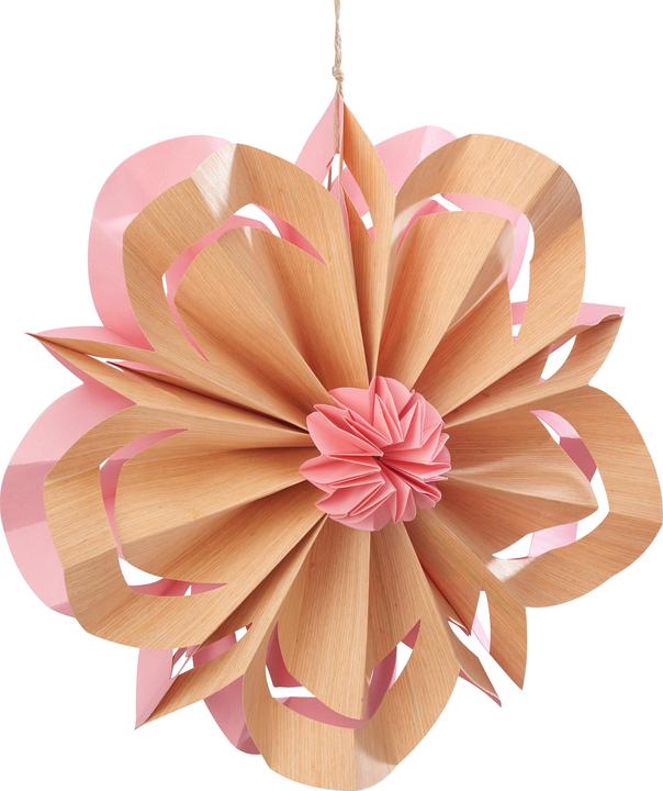 Immagine prodotto Othmar Appendino di carta "Blossom", Ø 30 cm