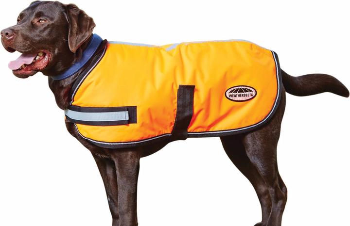 Image du produit Weatherbeeta Comfitec Parka réfléchissante 300D Manteau pour chien (30, Manteau pour chien)