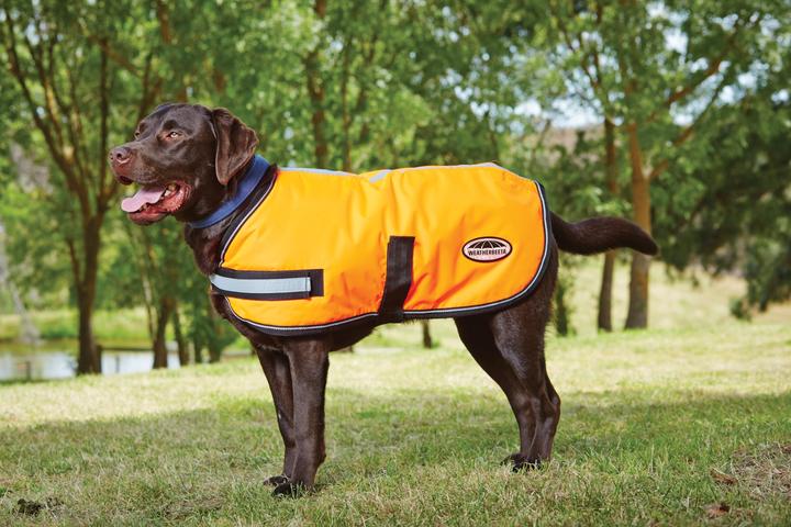 Image du produit Weatherbeeta Comfitec Parka réfléchissante 300D Manteau pour chien (30, Manteau pour chien)