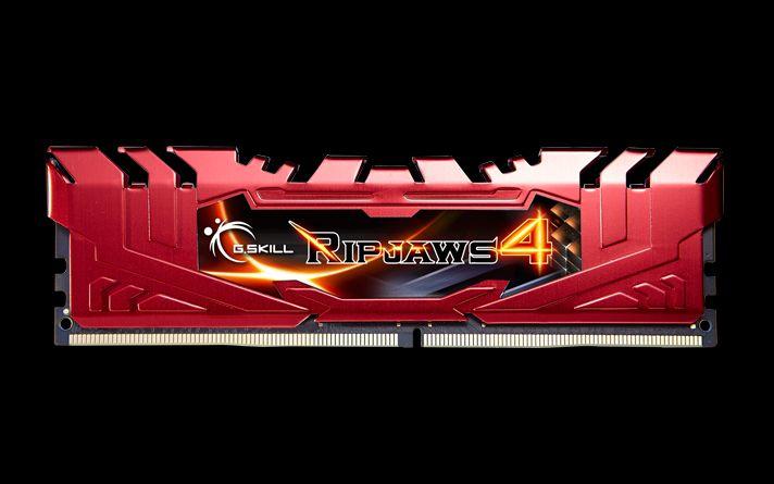 Immagine prodotto G.Skill Ripjaws 4 (2 x 8GB, 2400 MHz, DDR4-RAM, DIMM)