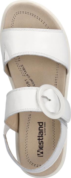 Immagine prodotto Westland 25408-409 (39)
