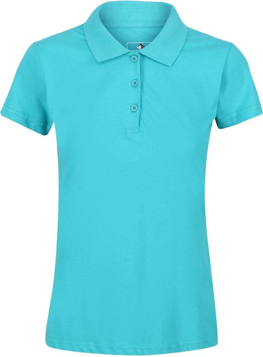 Actual product image Regatta Sinton polo shirt (36 D)