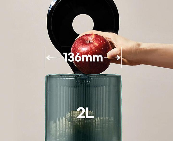 Actual product image Hurom Slow Juicer H320N