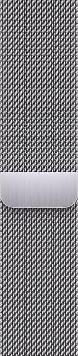 Actual product image Apple Loop (45 mm, Stainless steel)