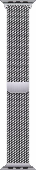 Actual product image Apple Loop (45 mm, Stainless steel)