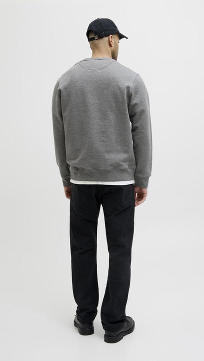 Actual product image Jack & Jones RDD Logo Sweatshirt Sweatshirt (M)