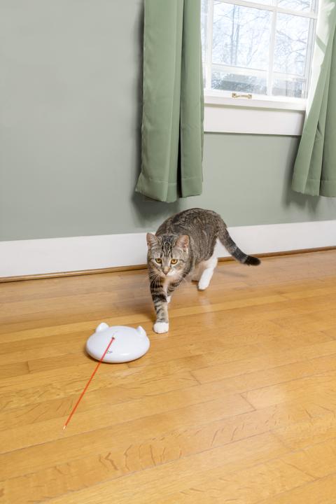 Image du produit PetSafe Laser automatique FroliCat® ZIP® (Jouets avec herbe à chat)
