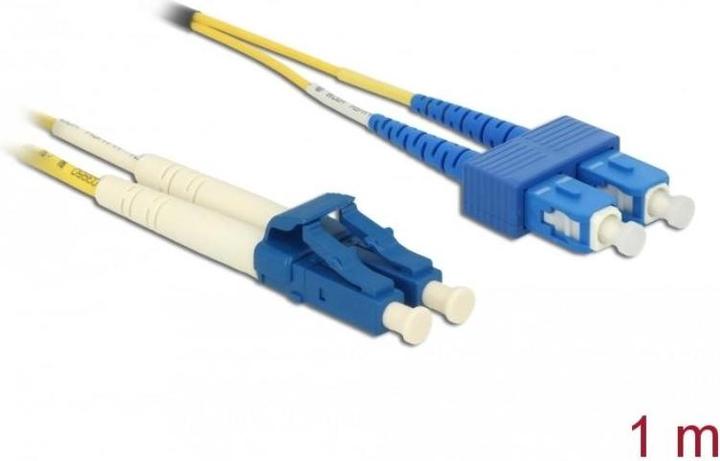 Image du produit Delock Câble de réseau (CAT6, 1 m)