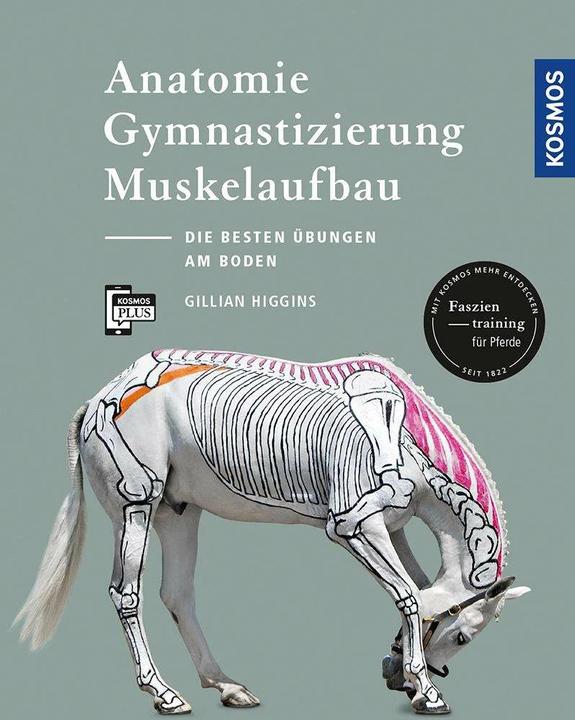 Image du produit Kosmos Anatomie, Gymnastizierung, Muskelaufbau (Allemand, Gillian Higgins, 2017)