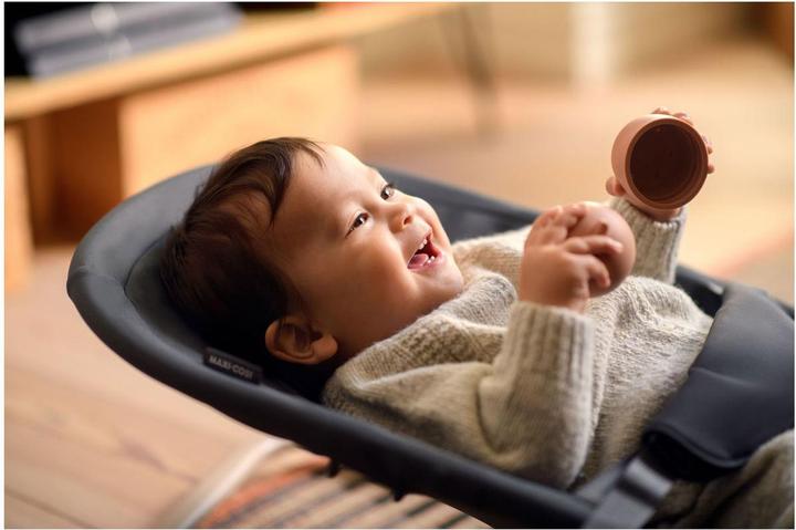 Actual product image Maxi-Cosi MC Loa Beyond Grey Eco