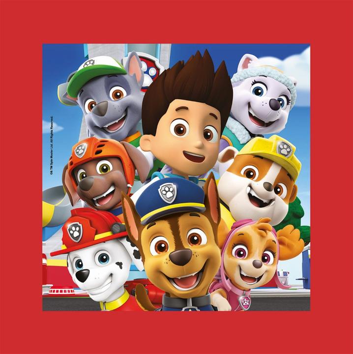 Image du produit Clementoni Puzzle 60el Frame me up Psi Patrol (38808) (60 pièces)