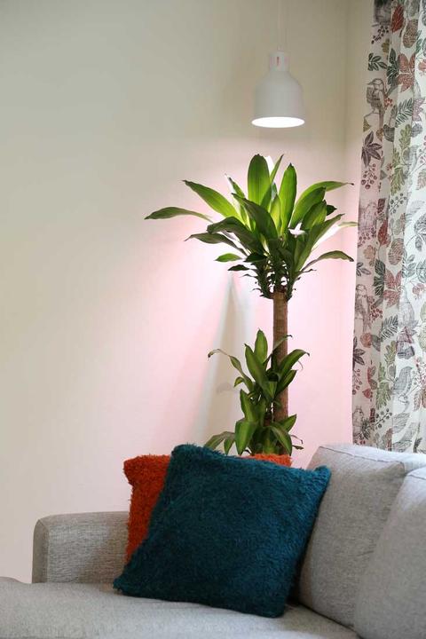 Produktbild Venso Grow Light (LED, 245 V)