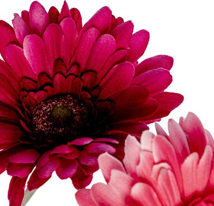 Image du produit DPI Gerbera (56 cm)