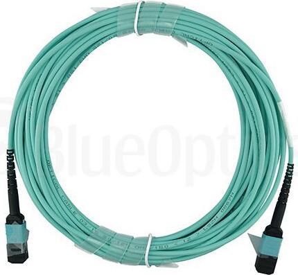 Actual product image BlueOptics Allied Telesis AT-MTP12-30 compatible MTP-MTP multimode OM3 patch cable 30 metres (CAT7a, 30 m)