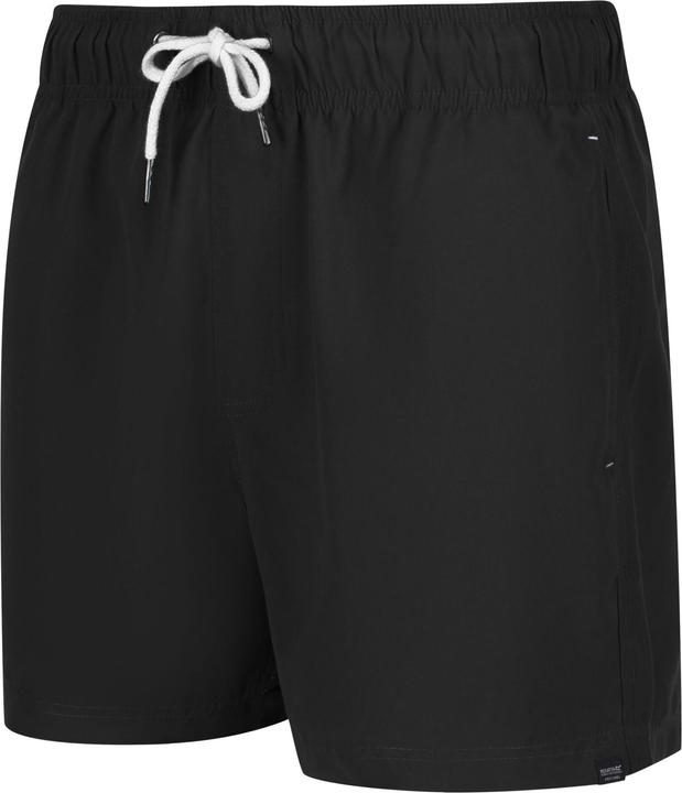 Actual product image Regatta Mawson II Shorts (XL)