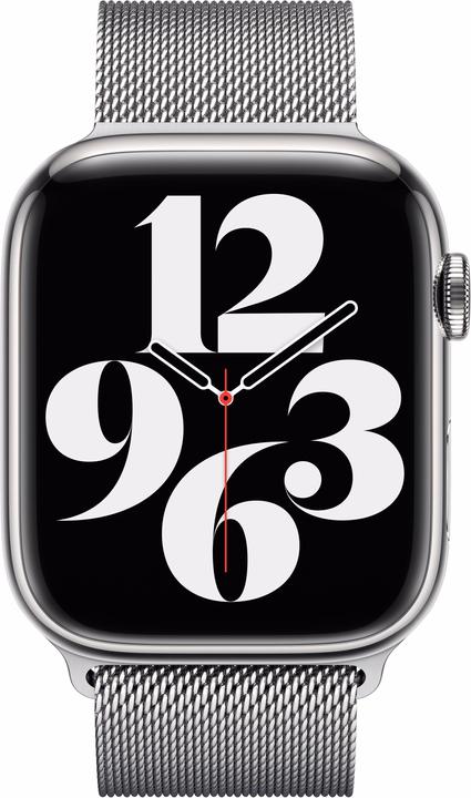 Actual product image Apple Loop (45 mm, Stainless steel)