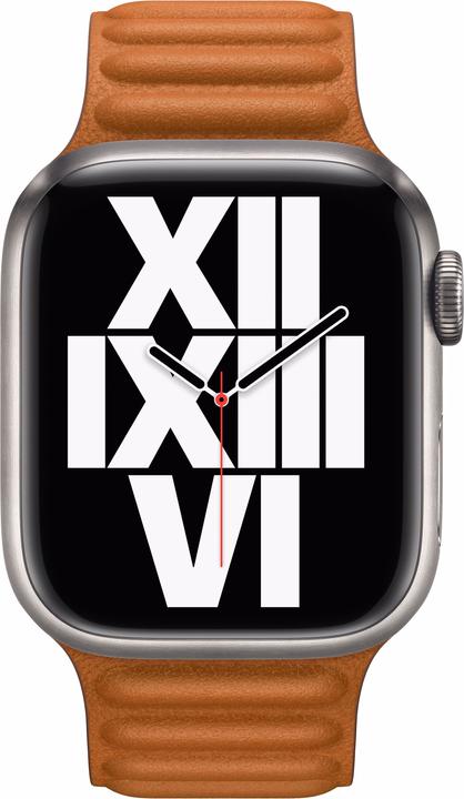 Actual product image Apple Leather Link (41 mm, Granada leather, Apple Watch Series 7, Apple Watch Series 9, Apple Watch Series 8)