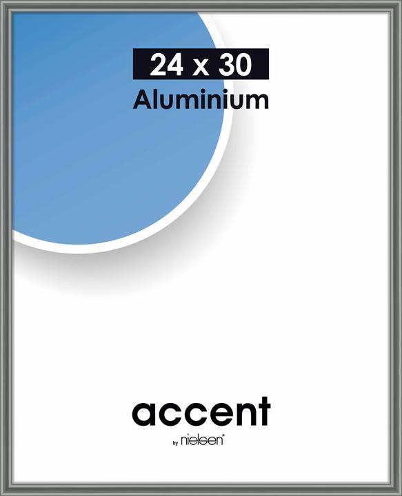 Gris acier
