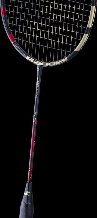 Immagine prodotto Babolat X-Feel Fury