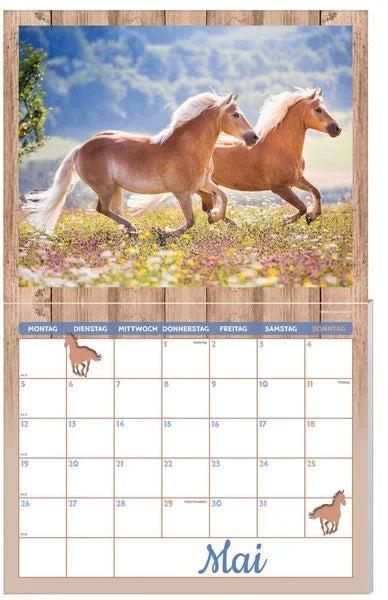 Immagine prodotto Calendario per cavalli confezione 2025, 9 pezzi (Tedesco)