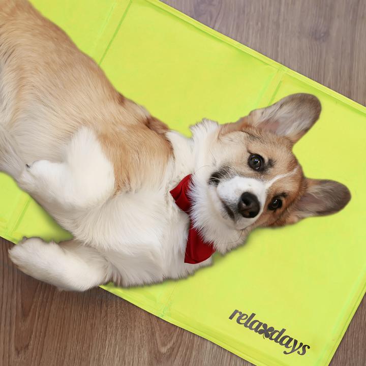 Actual product image Relaxdays Cooling mat dog (Dog)
