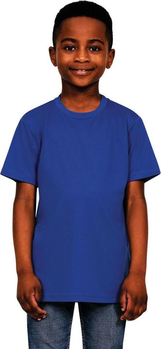 Bleu roi