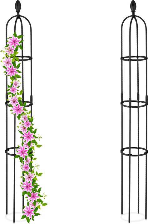 Image du produit Relaxdays 2x support pour plantes grimpantes (20 cm, 20 cm)