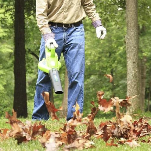 Actual product image Greenworks GD40BV (Rechargeable battery operated, Vacuum cleaners & blowers, Leaf blower, Leaf vacuums)