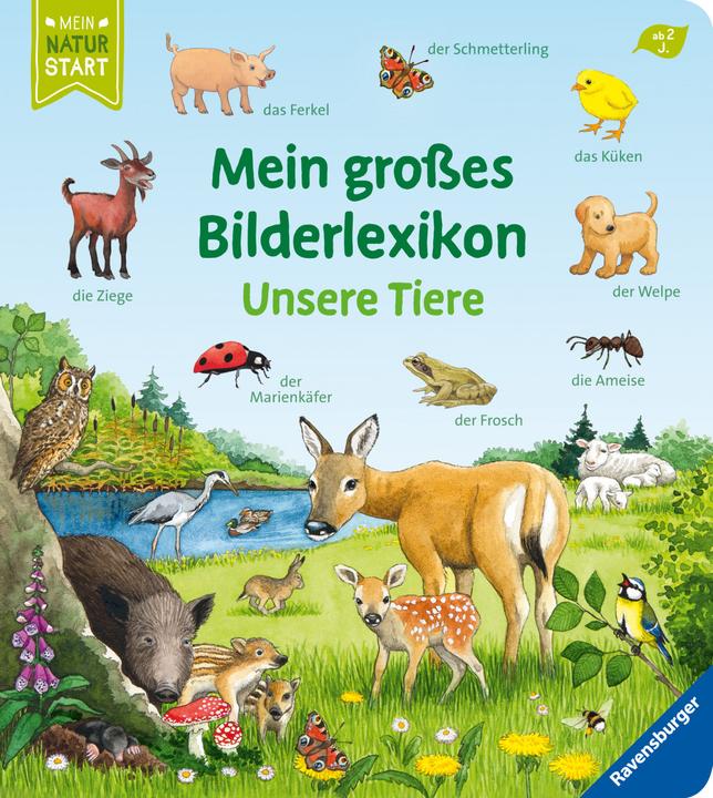 Immagine prodotto Ravensburger Mein grosses Bilderlexikon: Unsere Tiere (Tedesco, Susanne Gernhäuser, Anne Ebert, 2021)