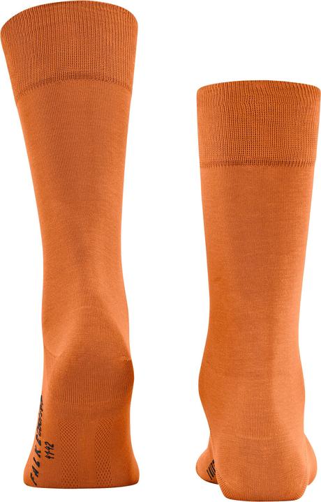 Produktbild Falke Cool 24/7 Herren (39 - 40)