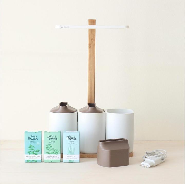 Actual product image Prêt à Pousser Lilo Connect (13.50 cm)