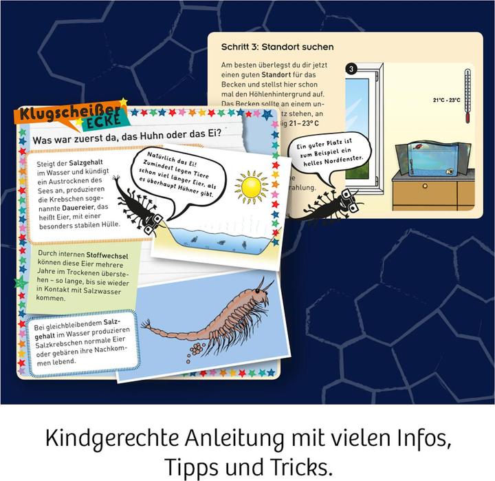 Image du produit Kosmos FunScience Crabes salés grouillants