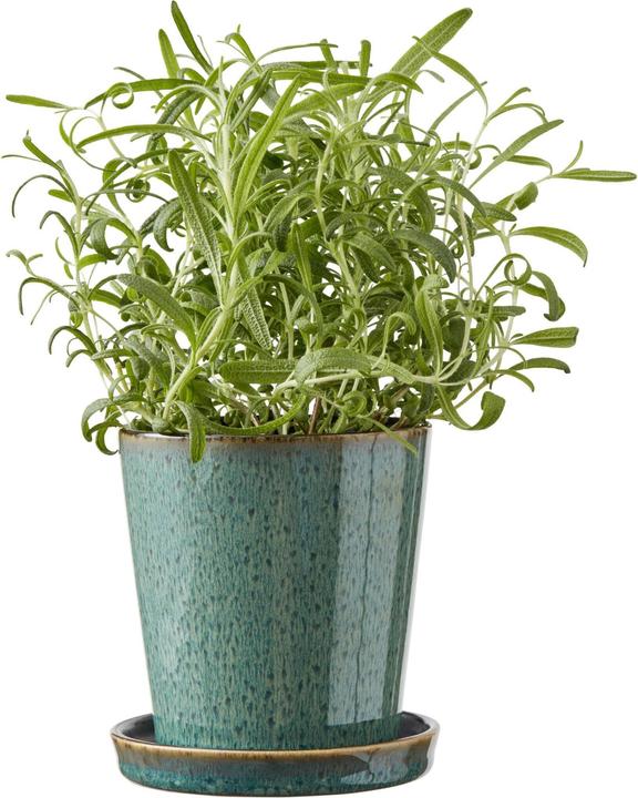 Produktbild Bitz Pflanzengefäss (10 cm)