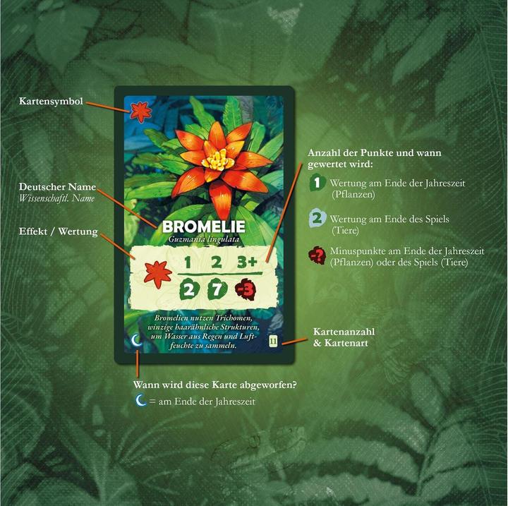 Image du produit Kosmos Treetops, d (Allemand)